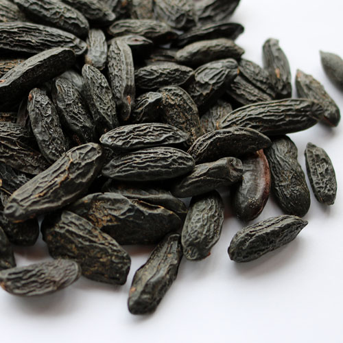 Tonka Beans