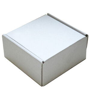 White Cardboard Postal Box