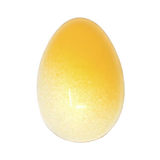 Treat Halloween Sn'egg Overhead